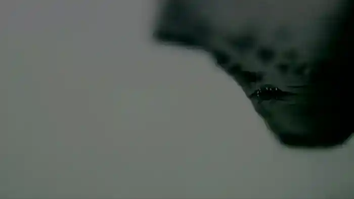 ブラックホールバースデイ