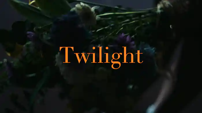 Twilight