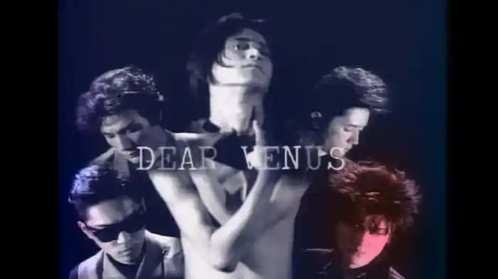 DEAR VENUS