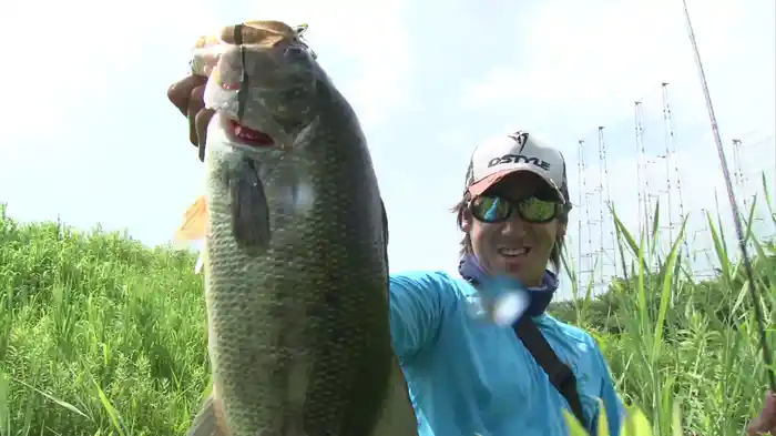 青木大介 Deez Scandal 6