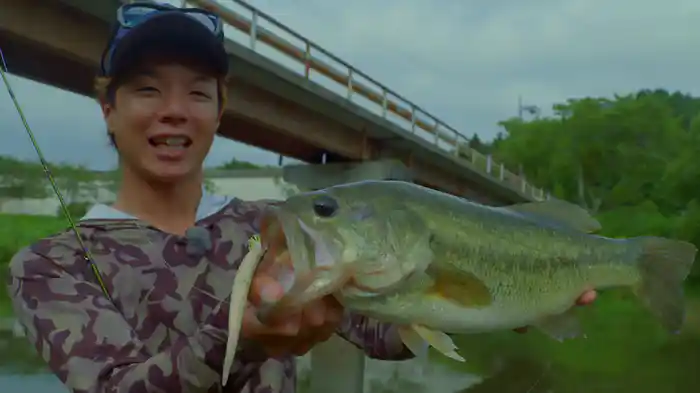 タクミスタンピード！1 夏