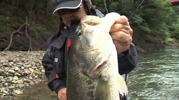 一刀両断 THE BEST2