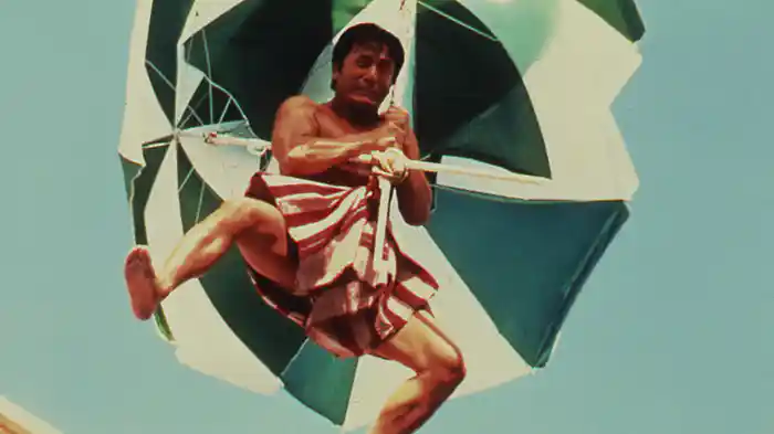 アクシデンタル・スパイ