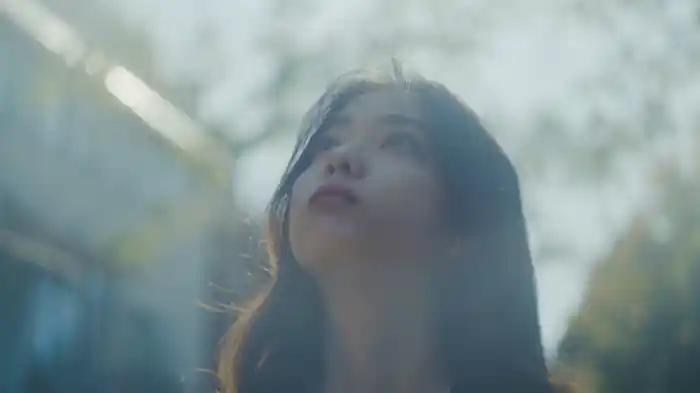 好きじゃないよ