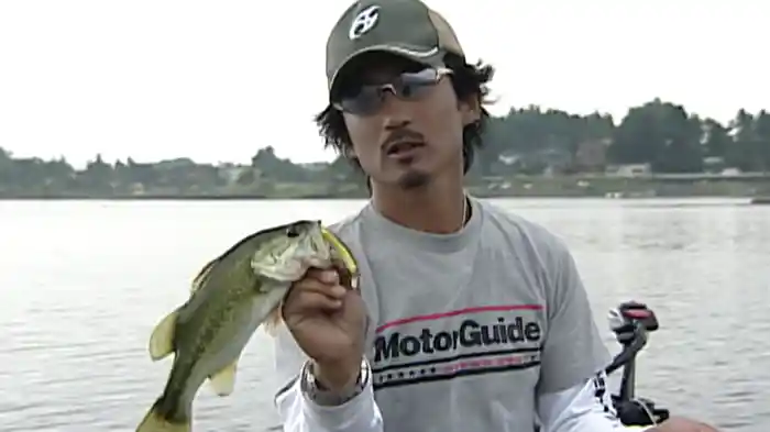 並木敏成 ジ・アルティメット 5 夏