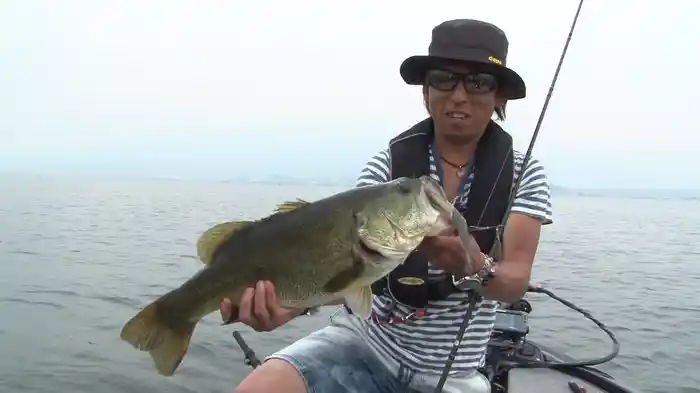 攻める! スピナーベイトBカスタムという血統