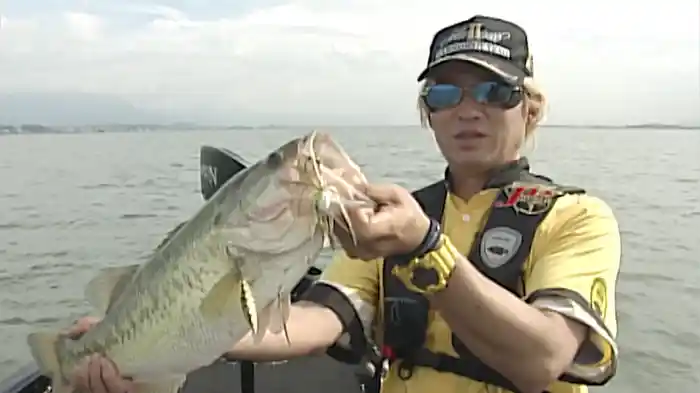 黒帯6 スピナーベイト&シャッド完全奥義