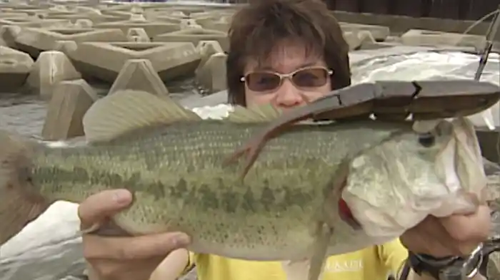 黒帯7 ザ・トップシークレット~水面波動完全無双~