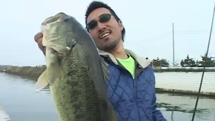 ルアーマガジン・ザ・ムービー vol.4