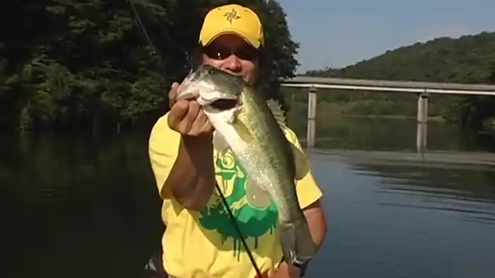 ルアーマガジン・ザ・ムービー vol.5