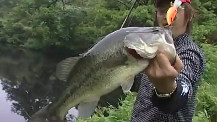 ルアーマガジン・ザ・ムービー vol.9