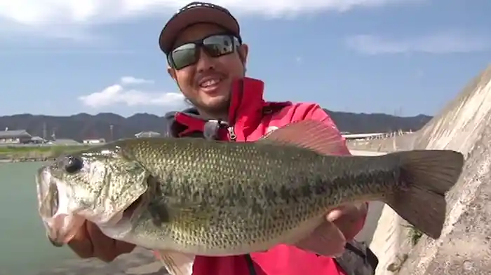 特命釣行R in 旧吉野川水系 金森隆志 春