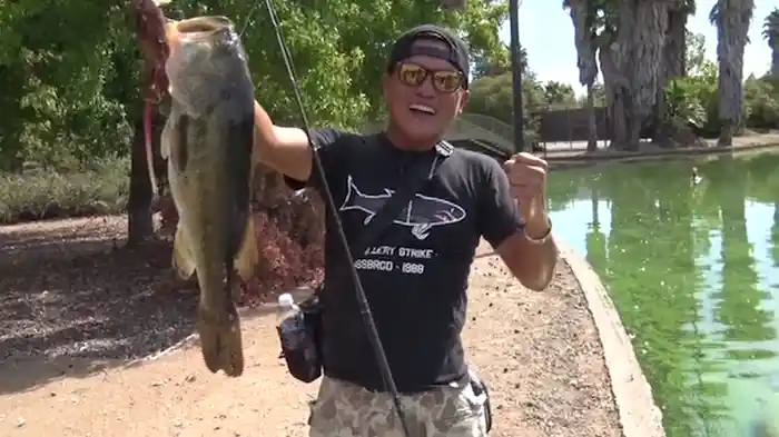 デプススタイル 3 プラチナム