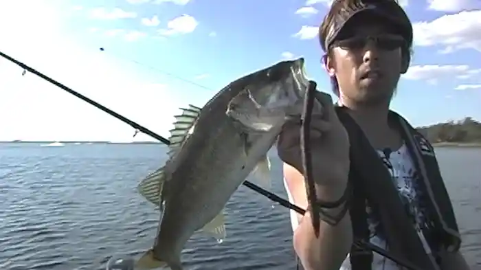 デプススタイル 2 Florida++