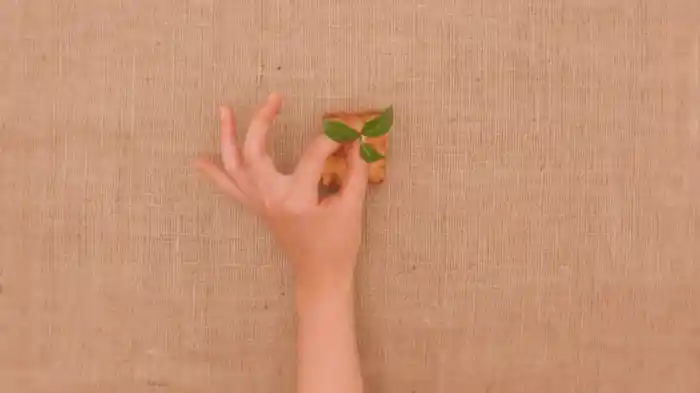 若葉