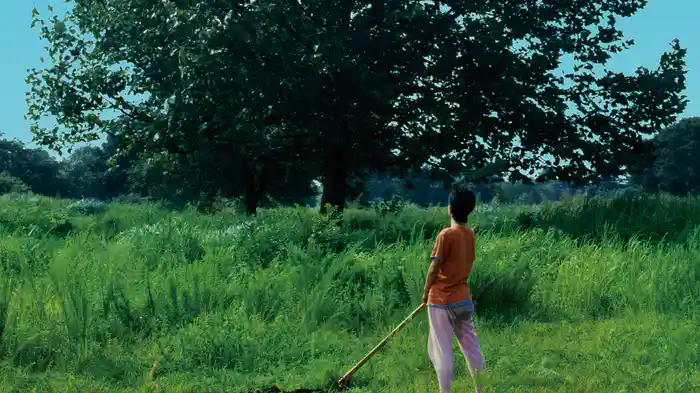 ロビンソンの庭