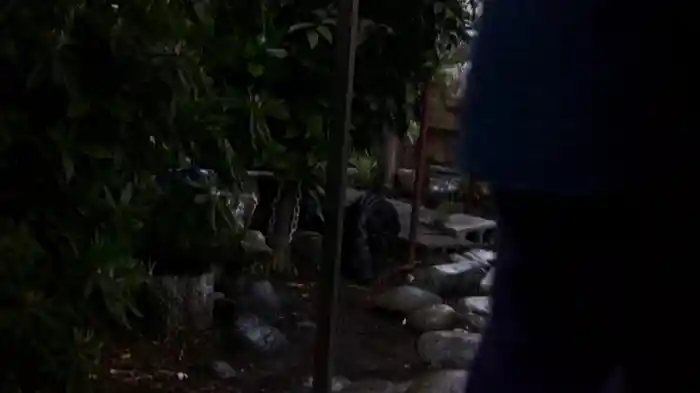 恐い動画 限定解禁