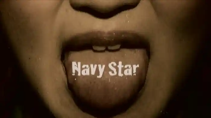 Navy Star