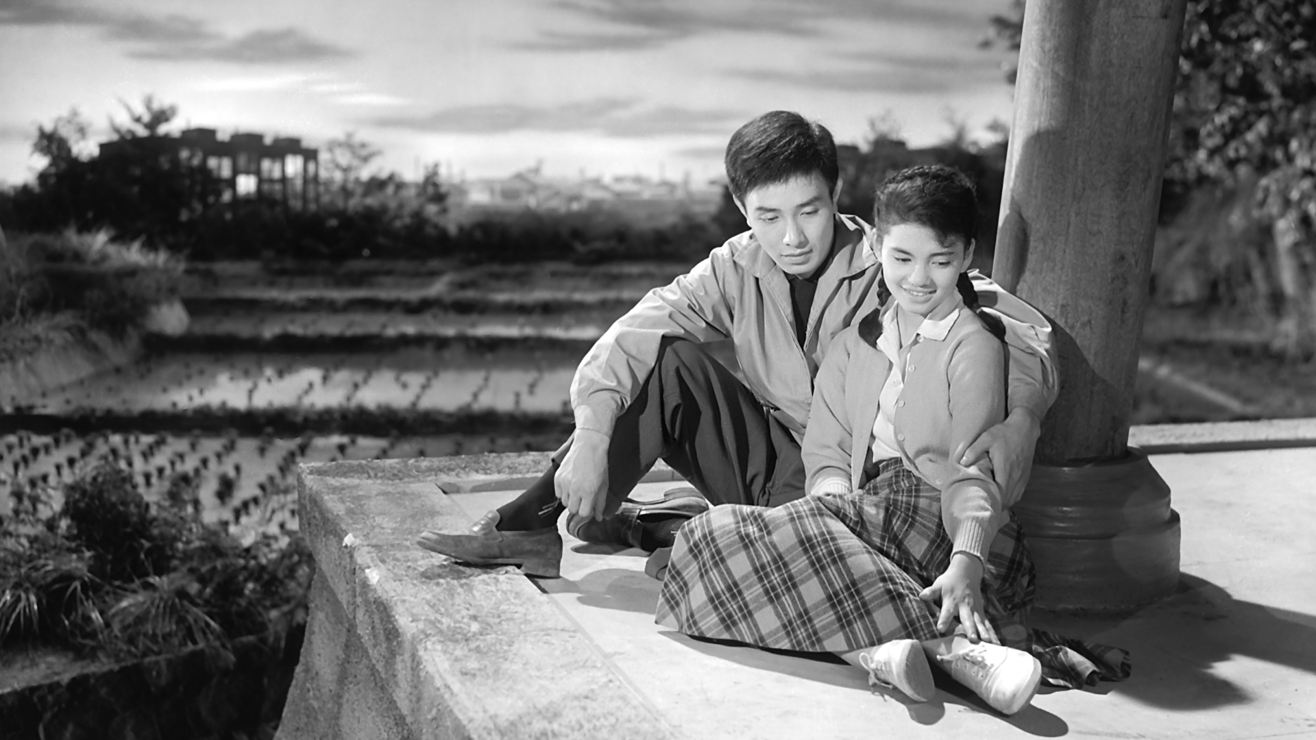 純愛物語(邦画 / 1957) - 動画配信 | U-NEXT 31日間無料トライアル