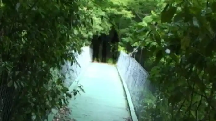 本当の心霊動画｢呪｣2