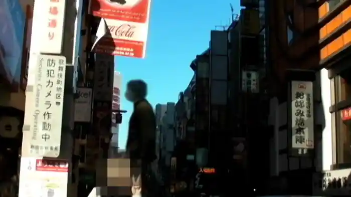 本当の心霊動画｢影｣5