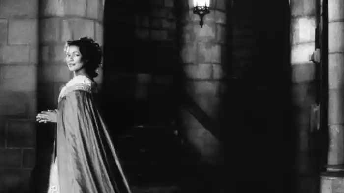 ニューイヤーズ・イブ・コンサート1989 - カルミナ・ブラーナ