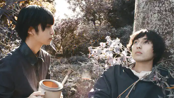 光が痛いよ、水をください。