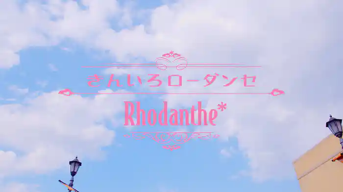 きんいろローダンセ