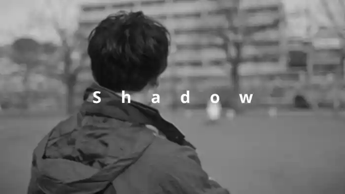 Shadow