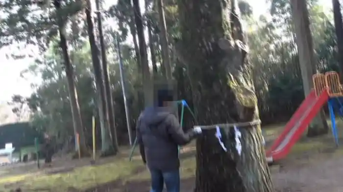 復讐霊　呪殺動画