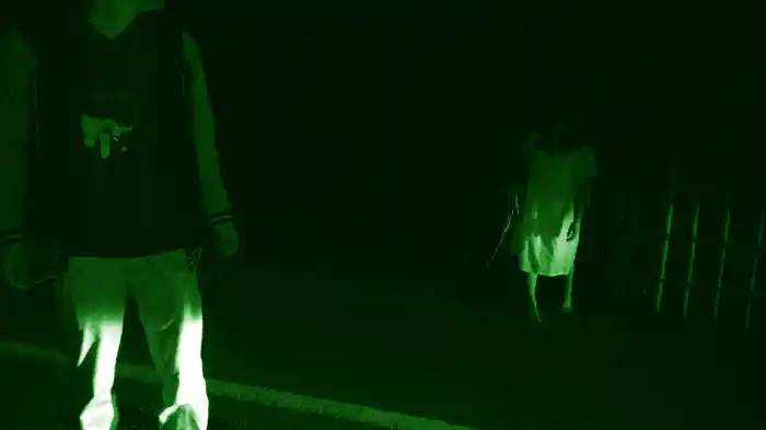 本当の惨劇動画3