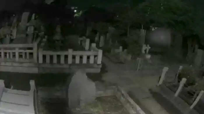 本当にあった怖い投稿映像 超恨み