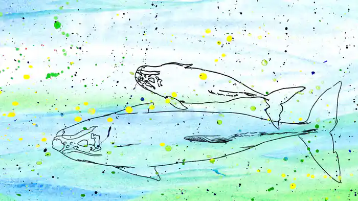 クジラのステージ