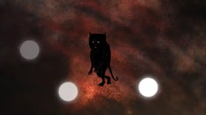 スクォンクの涙