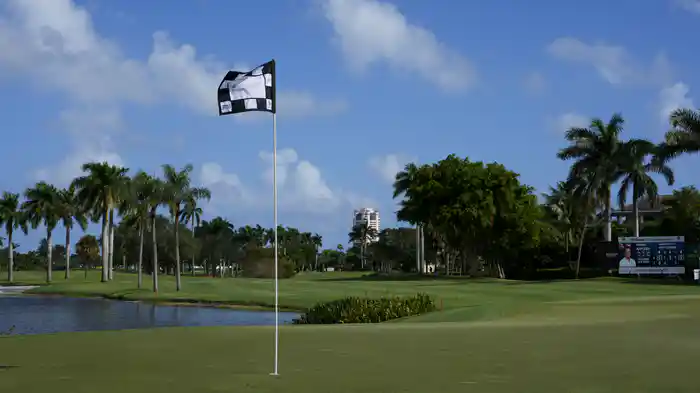 ティンバーテックチャンピオンシップ