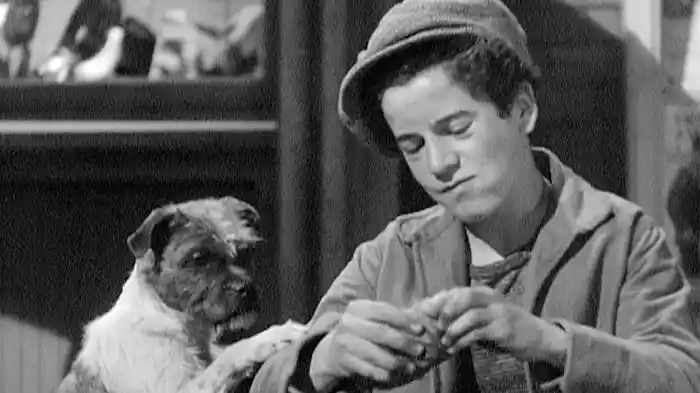 かれらに音楽を