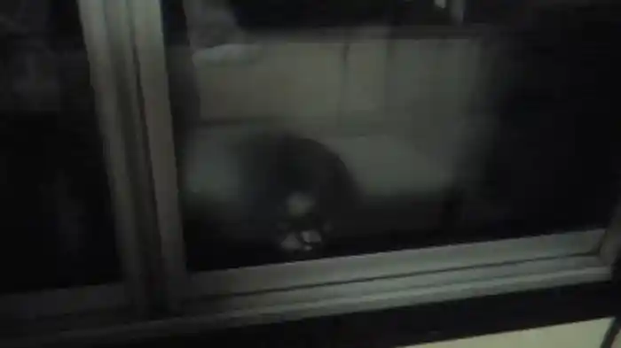 恐い動画 限定解禁5