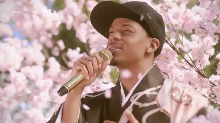 人生晴れるや～桜花乱舞