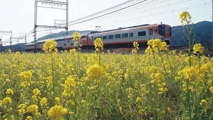 近鉄レイルビュー運転席展望Vol.5 30000系ビスタEX 賢島⇒大阪難波