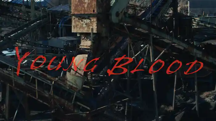YOUNG BLOOD
