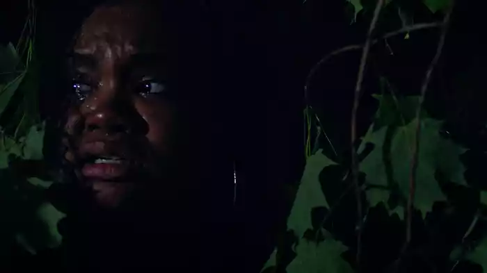 セントラルパーク殺人事件