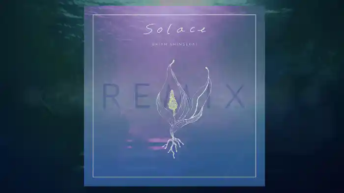 Solace (LEOJI Remix)