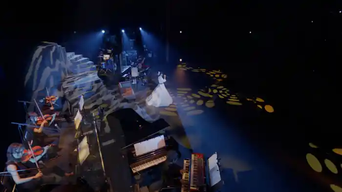 私の勝手に好きな人 (Live at 東京国際フォーラム ホール A on November 18, 2022)