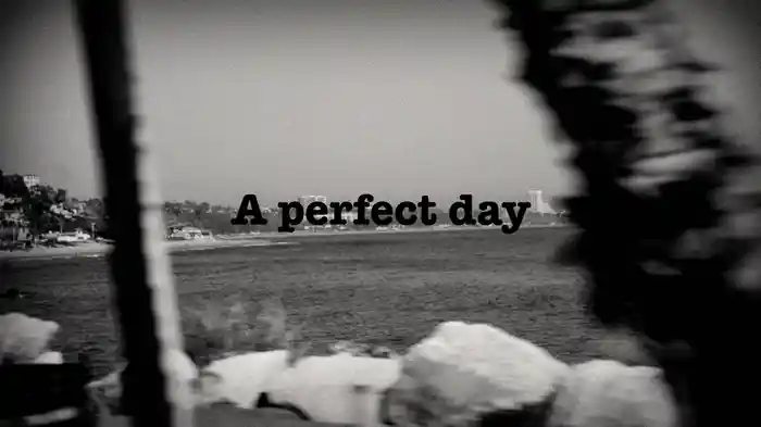 A perfect day