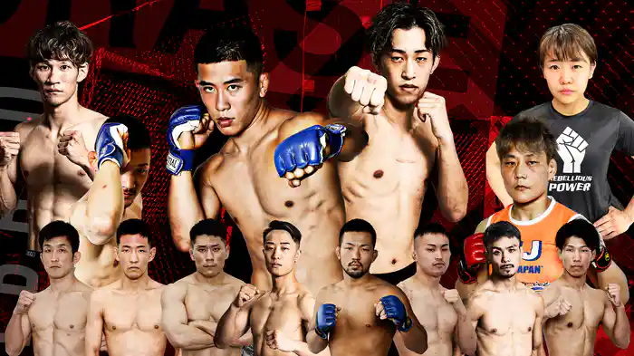 PANCRASE 331