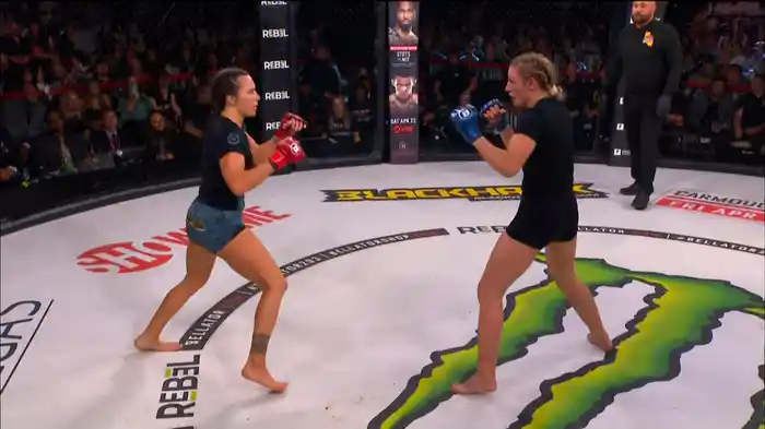 BELLATOR 293