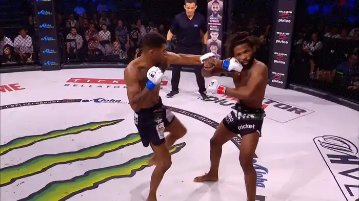 BELLATOR 295