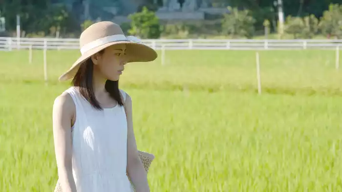 桃とキジ