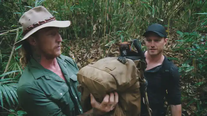 どうぶつ不可解事件簿