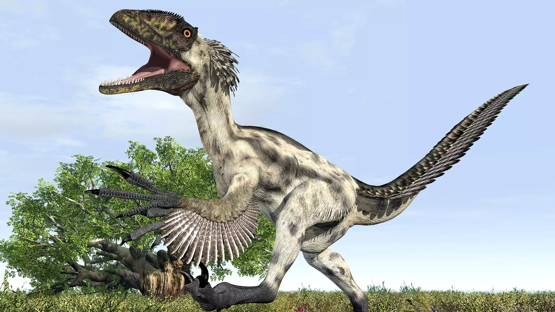 恐竜から鳥類へ 羽毛誕生ミステリー